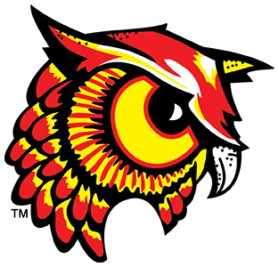 Bradford Owls logo